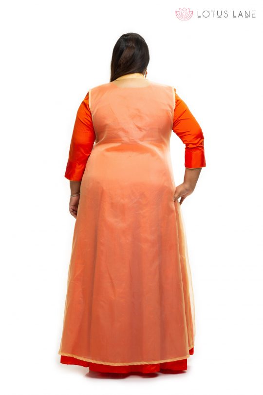 Orange with gold Organza plus size dress Back